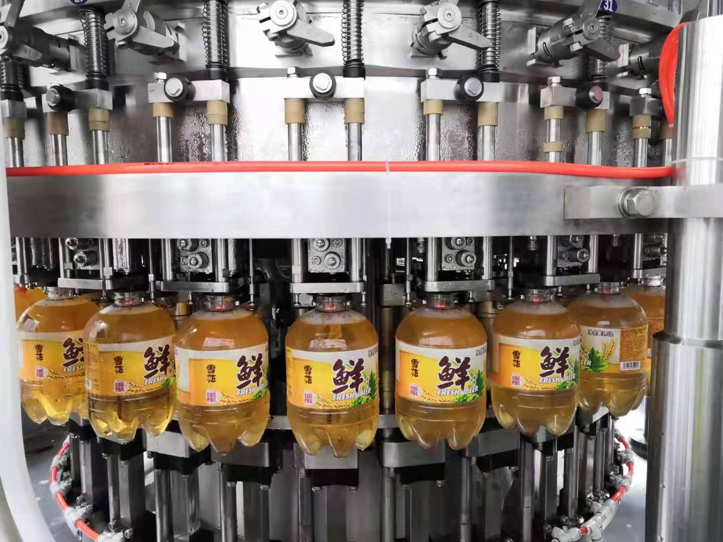 宠物瓶新鲜的啤酒馅料 